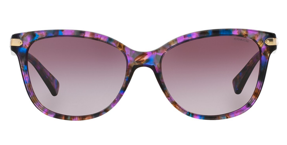 Coach 0HC8132 Purple