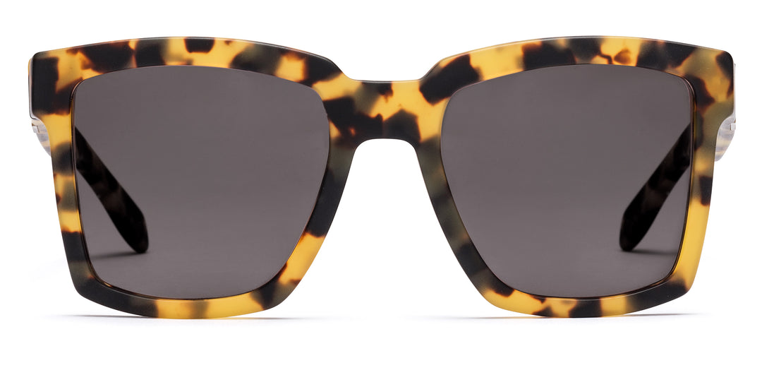 Westward Leaning Big TV 02 – endlesseyewear display picture 1