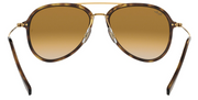 Ray-Ban 4298 - Brown Gradient
